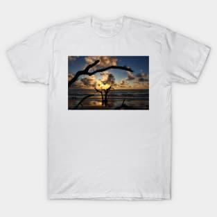 Driftwood Beach Jekyll Island T-Shirt